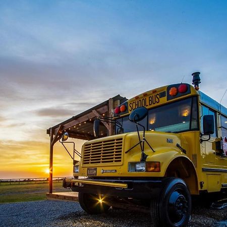 American School Bus - 1 Bedroom - Blossom Farm - Tiers Cross Johnston Экстерьер фото