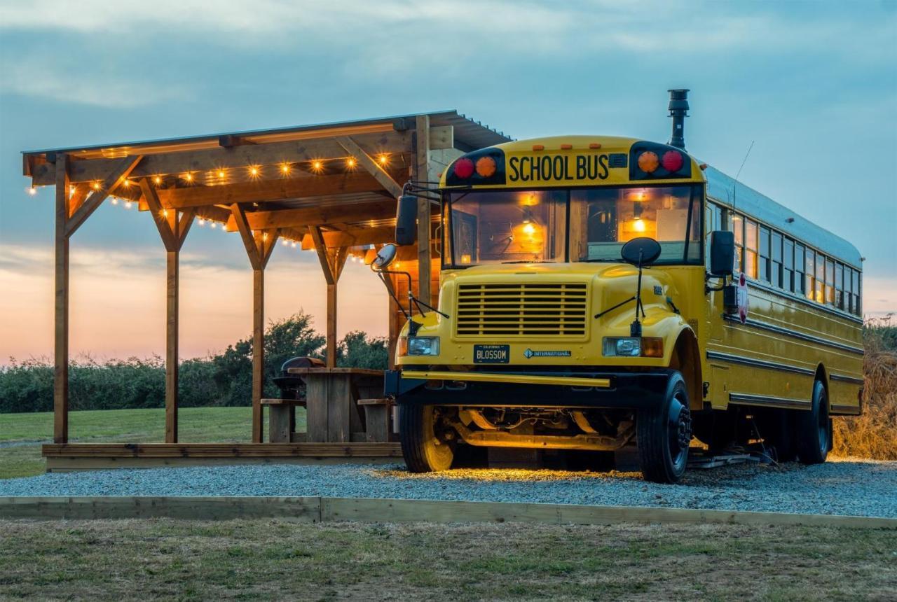 American School Bus - 1 Bedroom - Blossom Farm - Tiers Cross Johnston Экстерьер фото